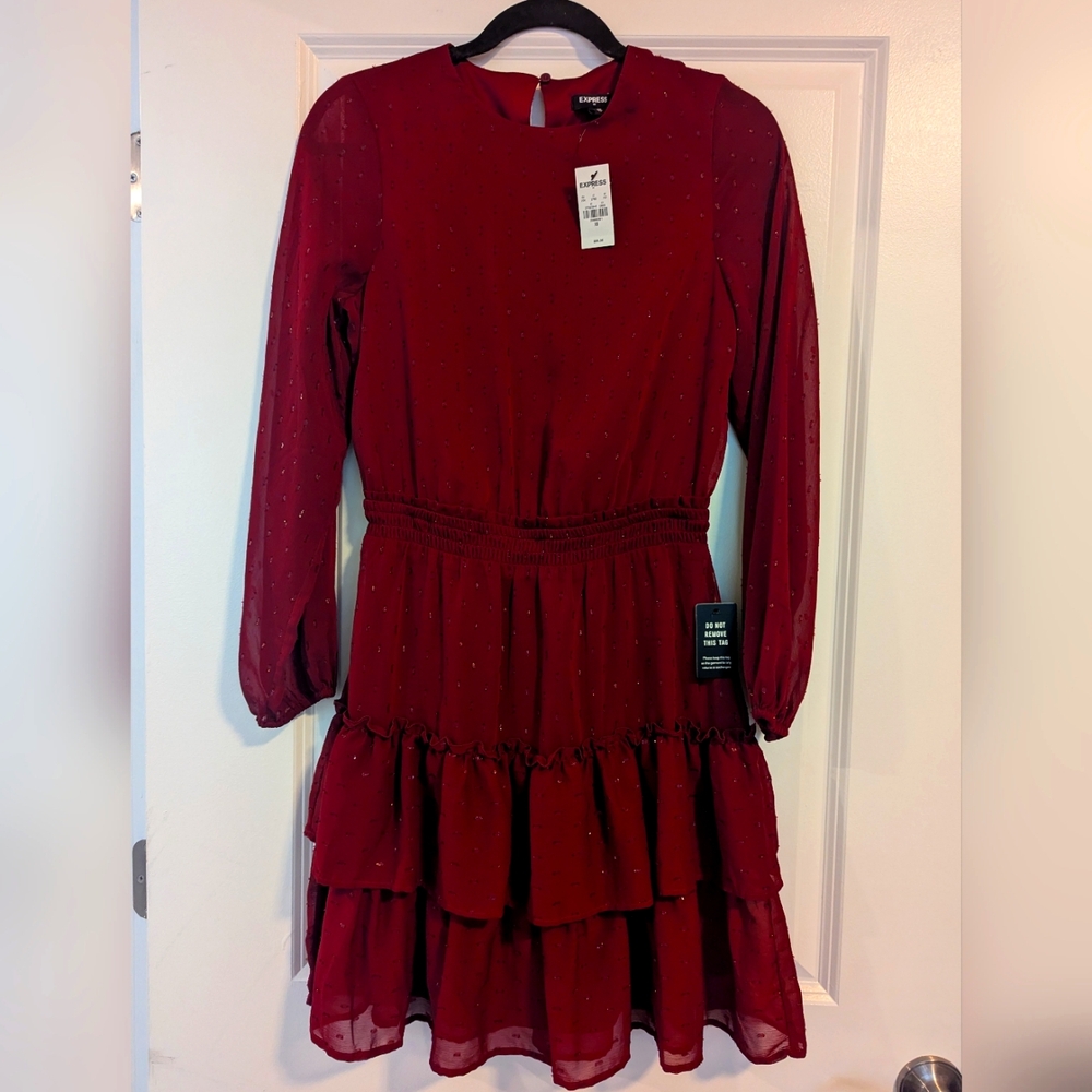Express Women's Dress
